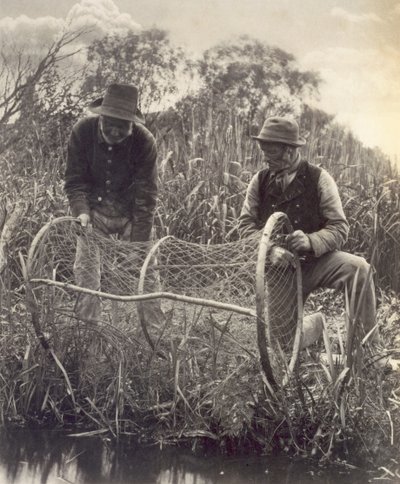 Setting the Bow Net, Life and Landscape on the Norfolk Broads, c.1886 by Peter Emerson und Thomas Goodall